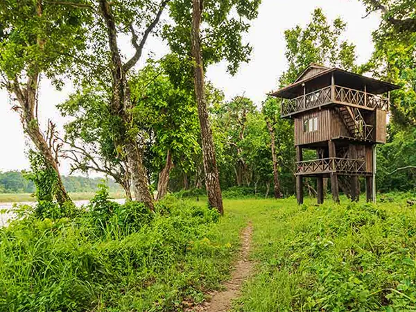 Chitwan Tower Night stay
