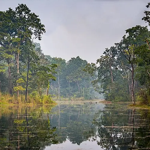Chitwan