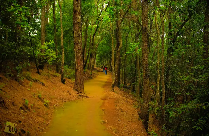 Jamacho Hiking