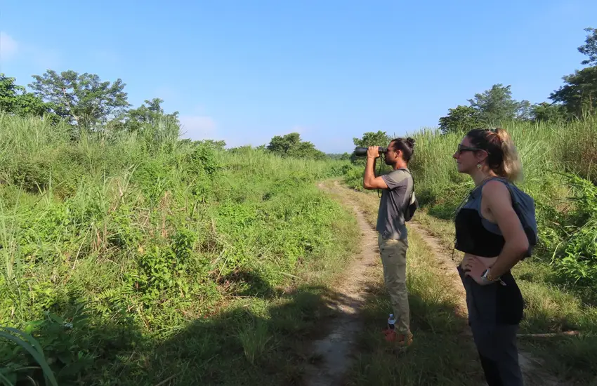 Chitwan Jungle Walk